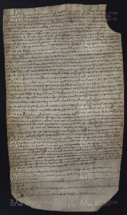 36 B.3.XXXVIr, Investitura fatta da Giovanni vescovo a favore di Dagiberto, e di Gusberto e Uberto de Pago Feroniano, Vignola, [996, lug. 2-6]